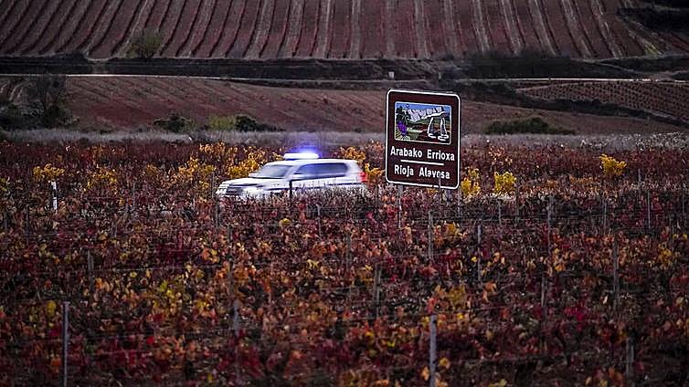 El Gobierno vasco no recurrirá el auto que prohíbe vender vino de Viñedos de Álava
