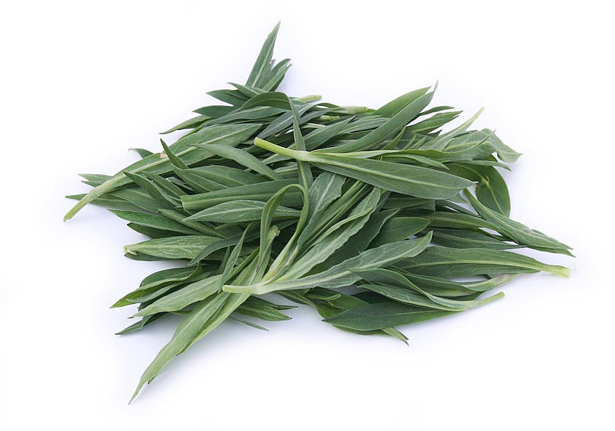 ¿Has probado alguna vez una verdura llamada colleja? Es de las mejores para tortillas y ensaladas