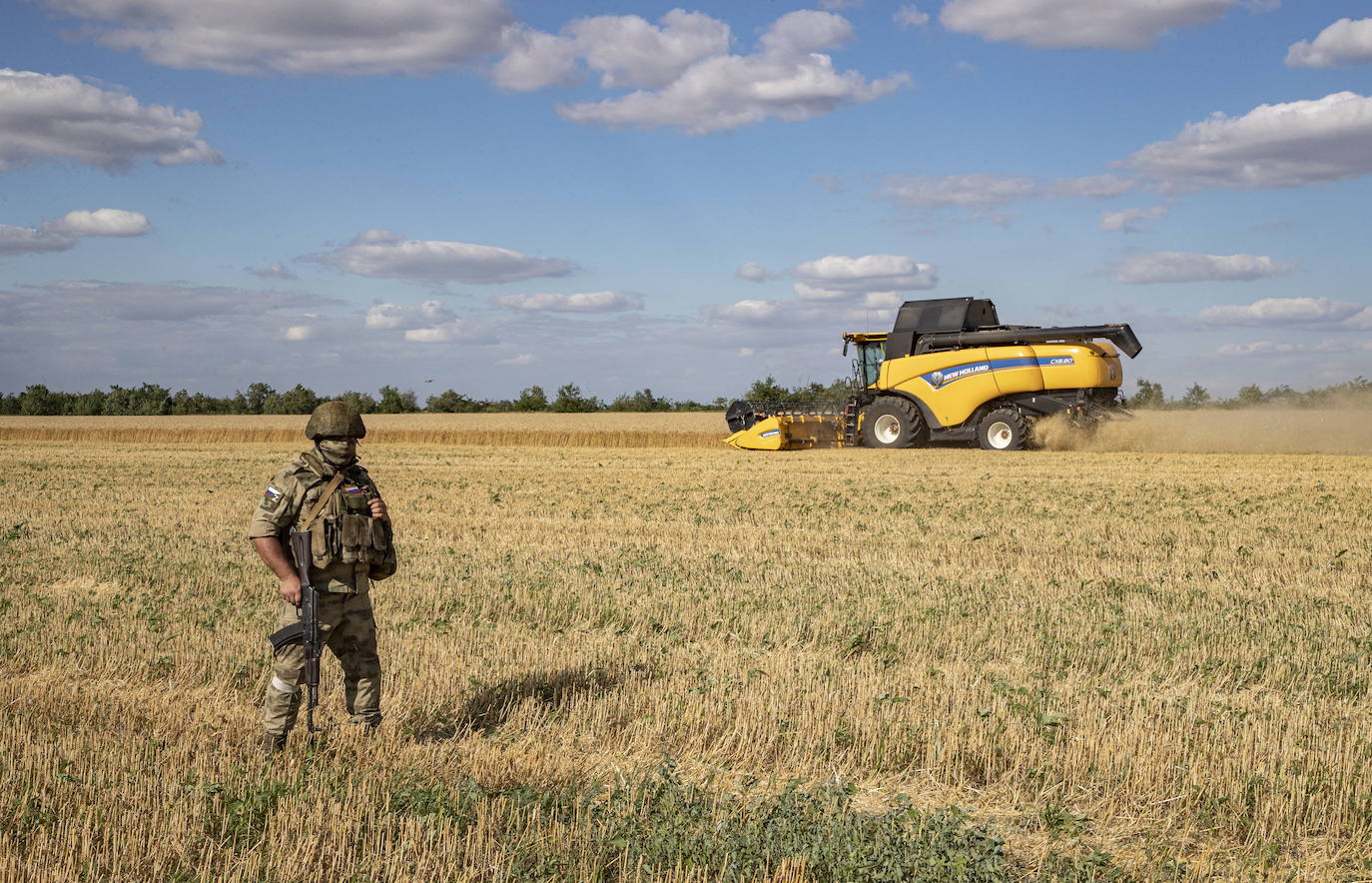 Militar bat, soroak zaintzen, Ukrainan.