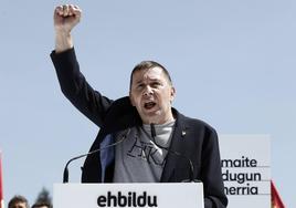 El coordinador general de EH BIldu, Arnaldo Otegi.