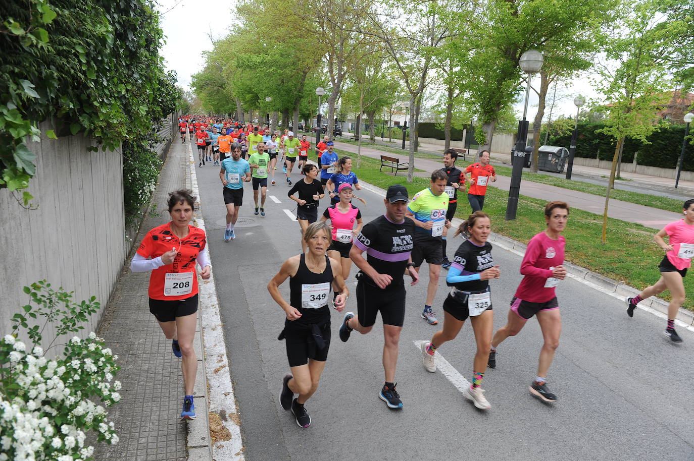 Medio millar de corredores se dan cita en la Vitoria-Estíbaliz