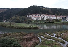 Las marismas de Aieri se sitúan a la entrada de Ondarroa.