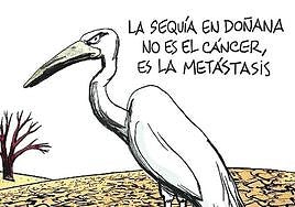 La viñeta de Antón