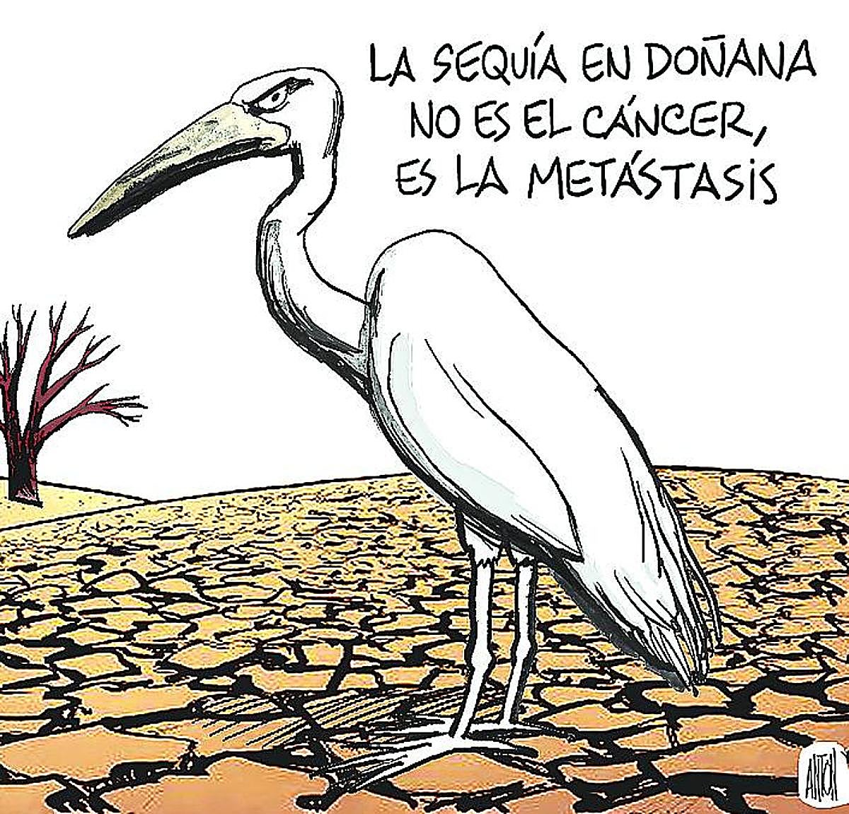 La viñeta de Antón