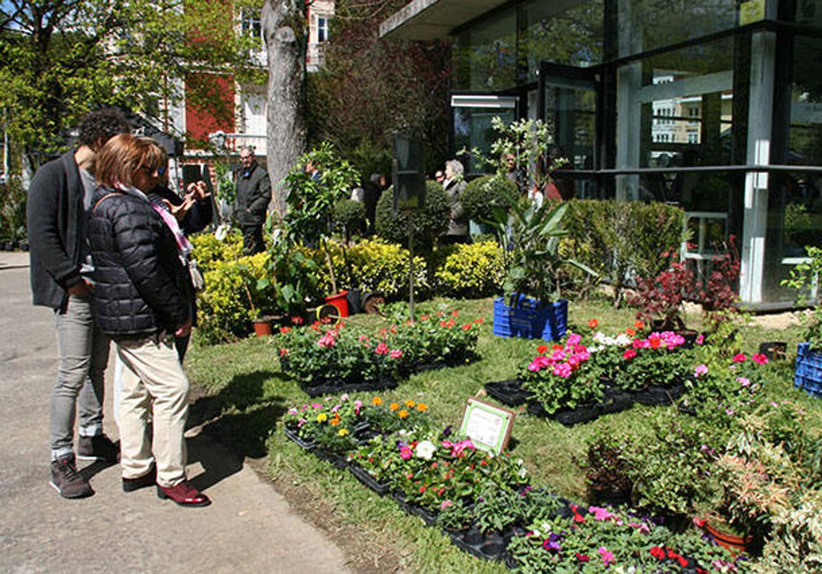 Flores y plantas de un expositor colocados en el parque Arenatzarte en una edición anterior.