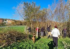 Voluntarios de la asociación Kiribile trabajan en la conservación del medio natural.