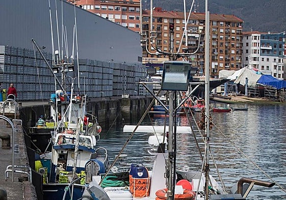 Las descargas de verdel en Bermeo no han sido buenas esta primavera.
