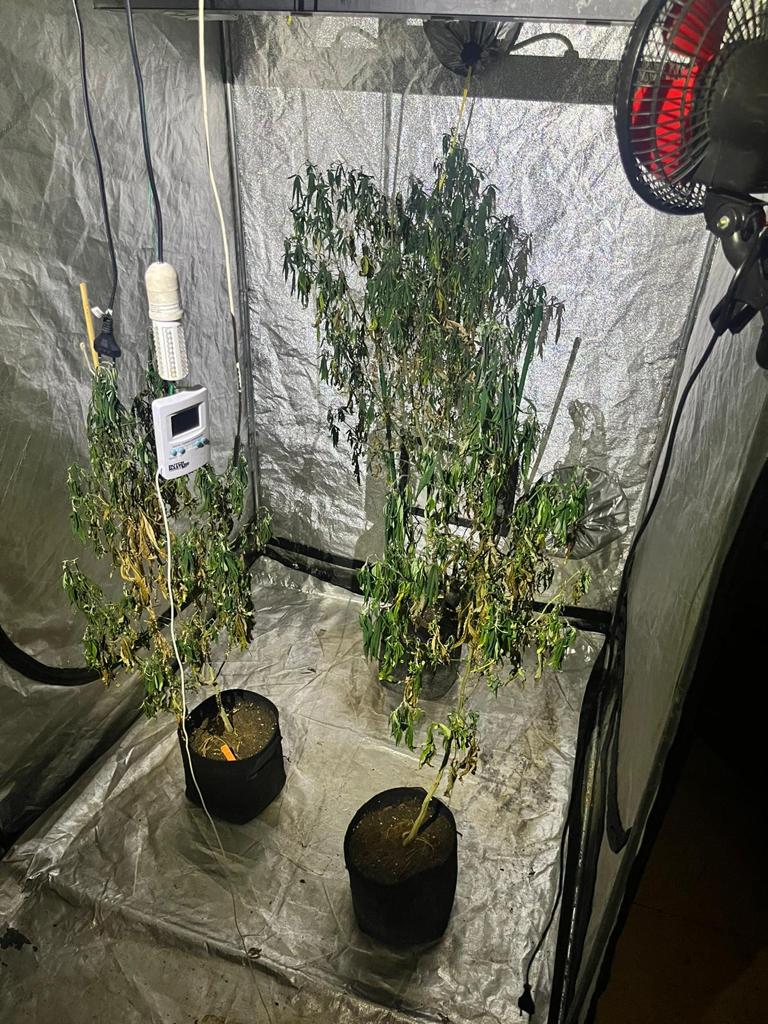 Uno de los invernadores para el cultivo de la marihuana hallados en la lonja de Lehendakari Aguirre.