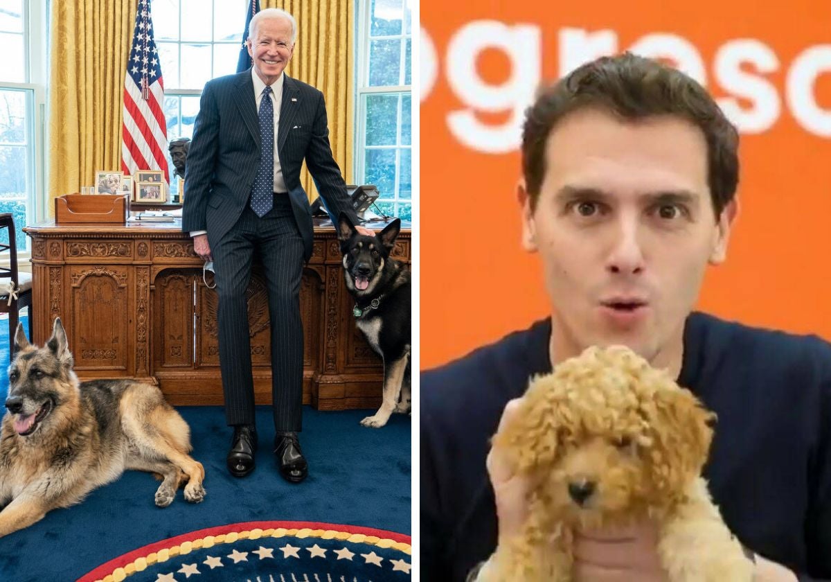 Biden con sus perros y Albert Rivera con el suyo.