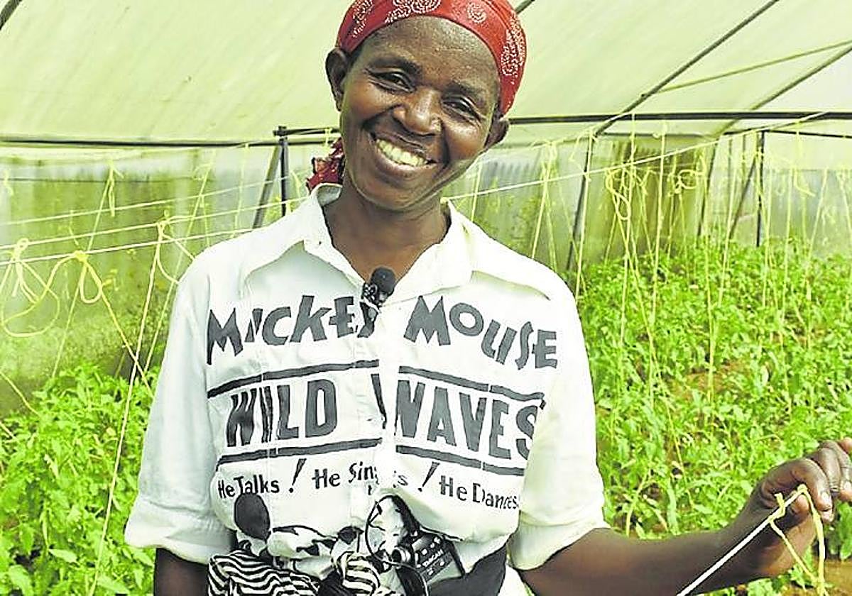 Imagen del proyecto agrícola en Ruanda financiado por La Rioja Alta.