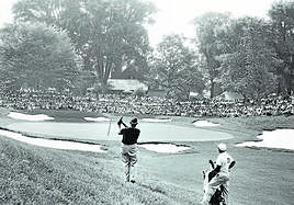 El campo es una referencia en Estados Unidos.