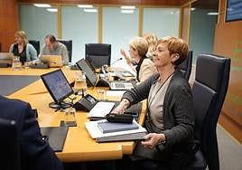 La consejera de Desarrollo Económico, Arantxa Tapia, en el Parlamento