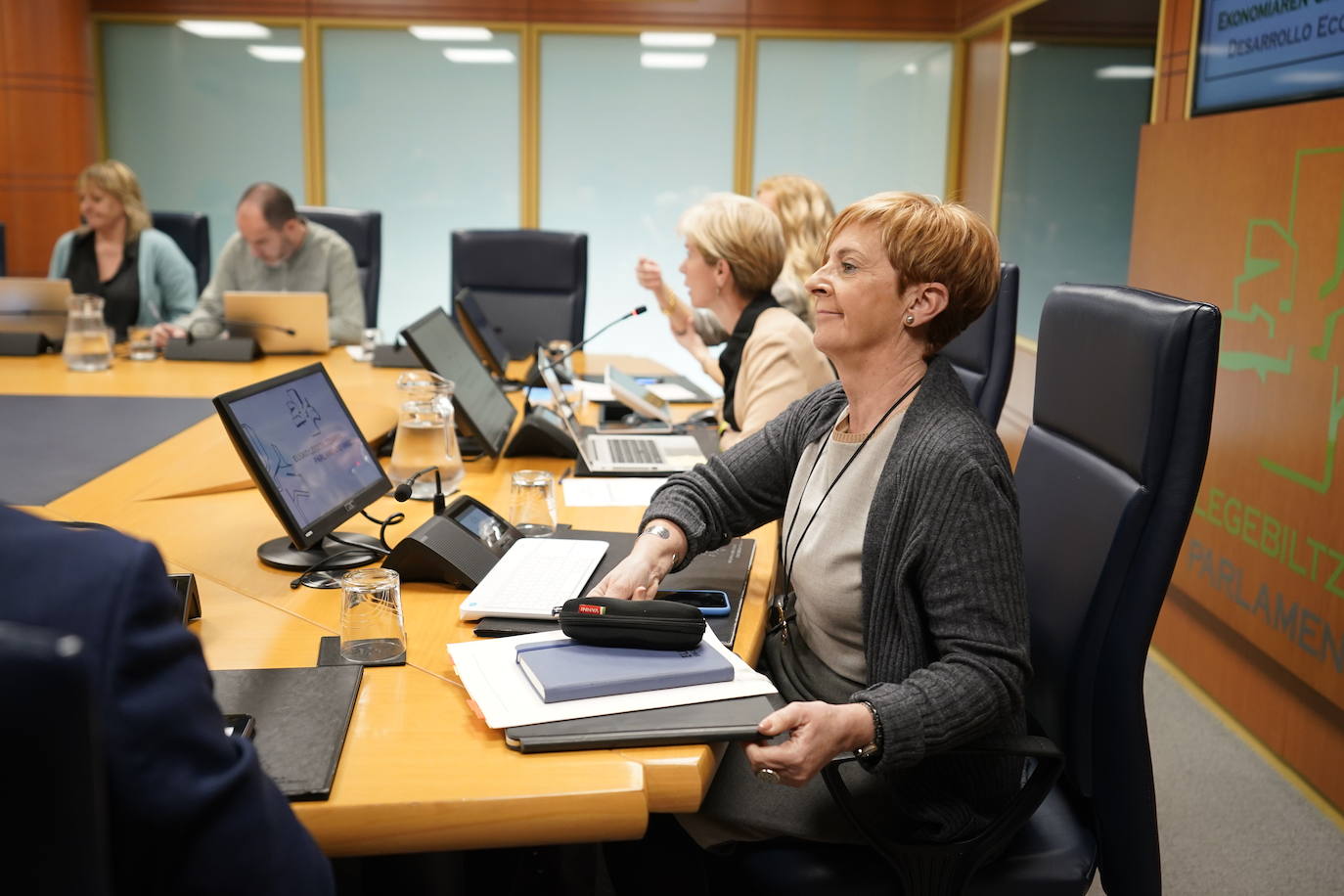 La consejera de Desarrollo Económico, Arantxa Tapia, en el Parlamento