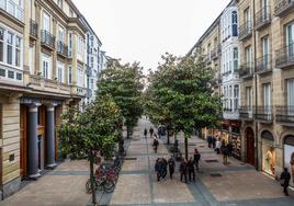 Aspecto de la calle Dato, en Vitoria.