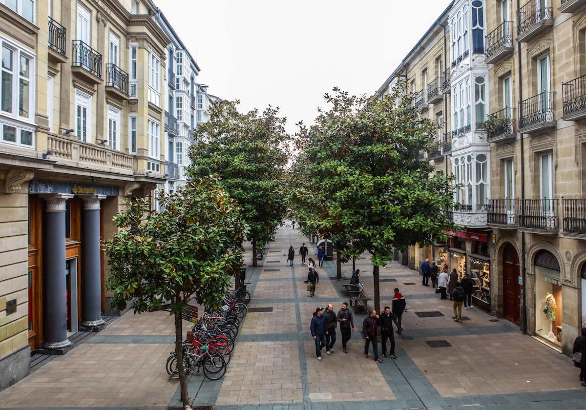 Aspecto de la calle Dato, en Vitoria.