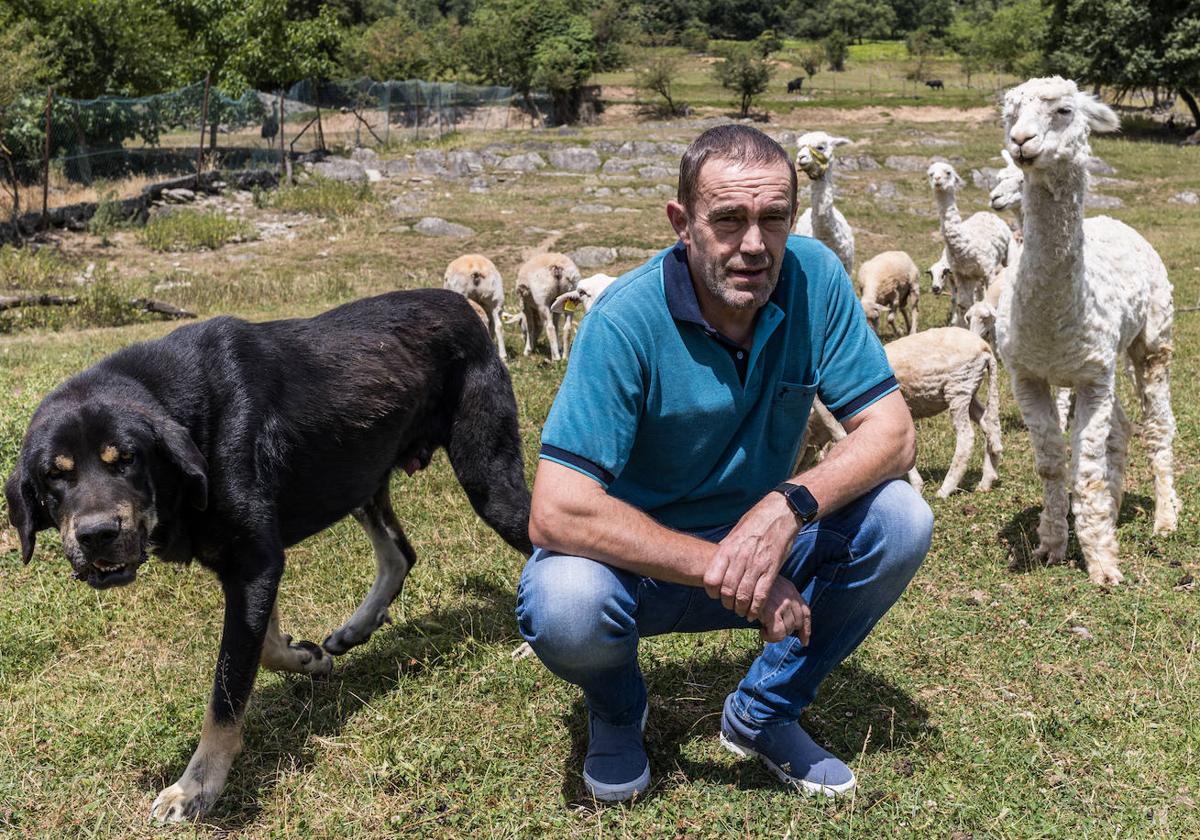 Miguel Ángel García Diego gestionó el matadero de Llodio durante dos décadas hasta su cierre.