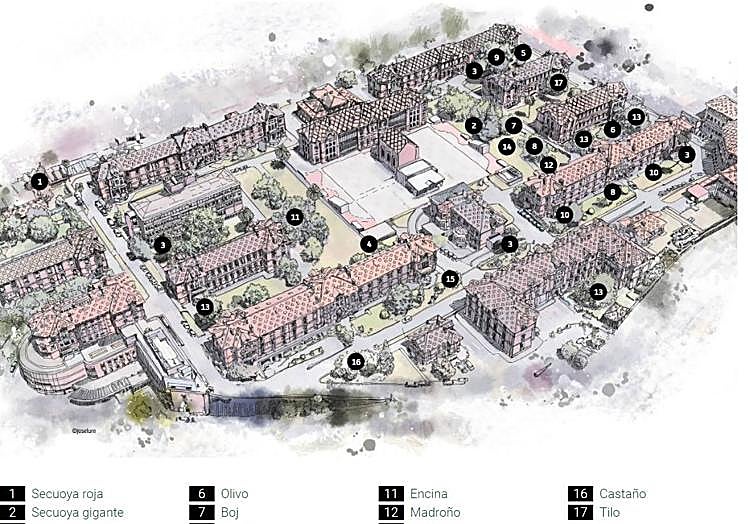 Distribución de las especies recogidas en el mapa interactivo.