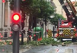 Cortan una calle de Vitoria por el desprendimiento de ramas de los árboles de La Senda