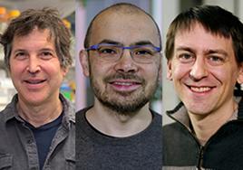 Biología y Biomedicina: David Baker, Demis Hassabis y John Jumper