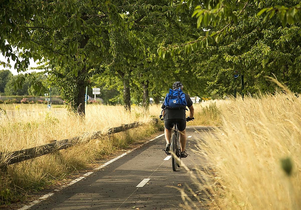 Un ciclista pedalea por una vía.