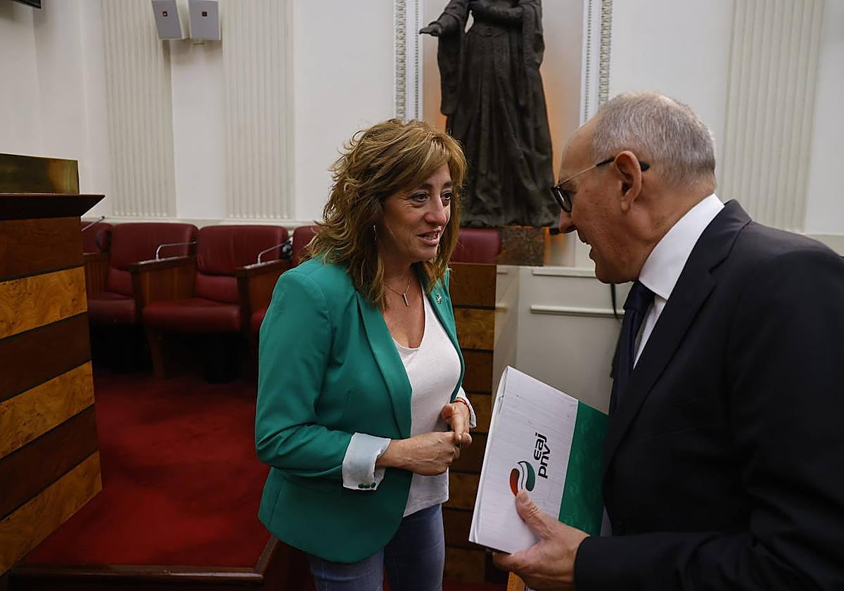 Ramiro González charla con Eva López de Arroyabe minutos antes del inicio del pleno de investidura en las Juntas Generales de Álava.