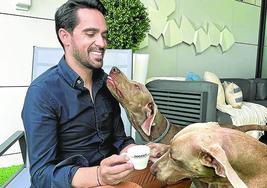 En casa. Alberto Contador toma un café y juguetea con sus perros, Giro y Tour.