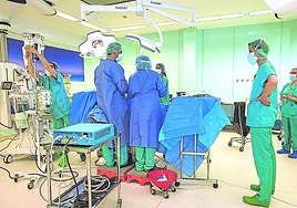 Facultativos de Osakidetza llevan a cabo una intervención quirúrgica en el hospital de Basurto.