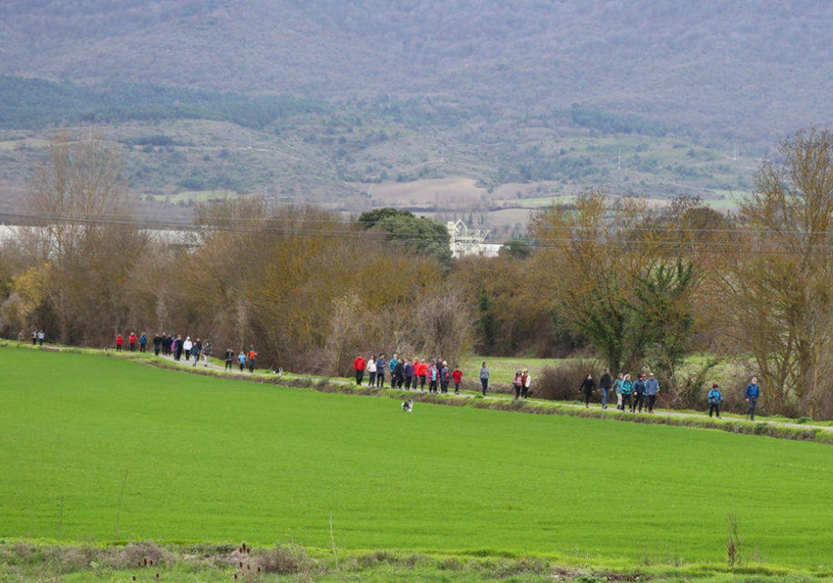 La marcha recorrerá una distancia de 17 kilómetros.