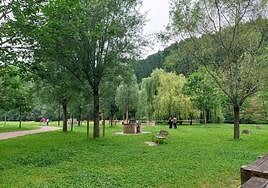 Zona del merendero de Muntsaratz donde el menor falleció tras caer al río este domingo