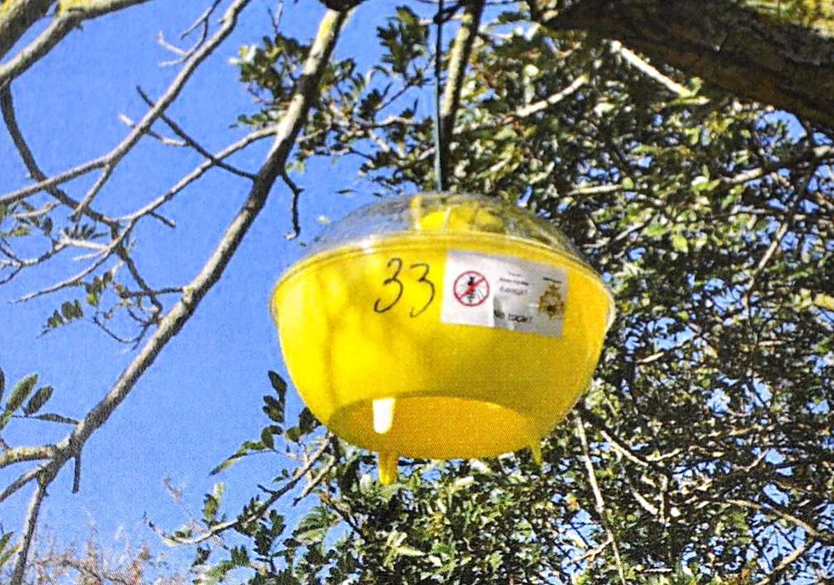 Se han colocado cincuenta trampas por toda la villa, como en el parque Ellacuría.