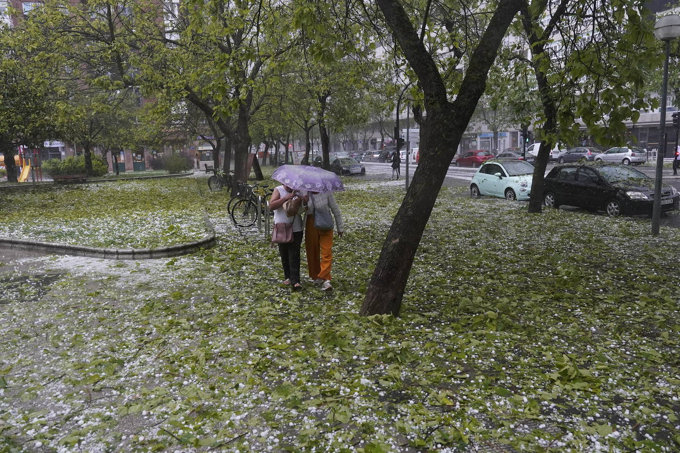 Las fotografías de la granizada de Vitoria