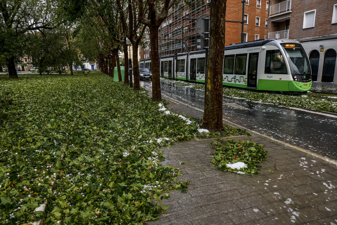 Las fotografías de la granizada de Vitoria