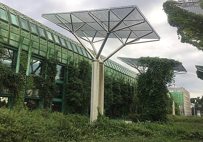 Un frondoso jardín envuelve la BUW.