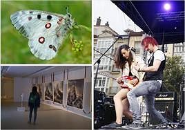 Los mejores planes culturales para el fin de semana en Álava