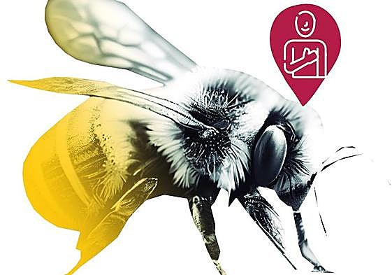 Humildad mal entendida