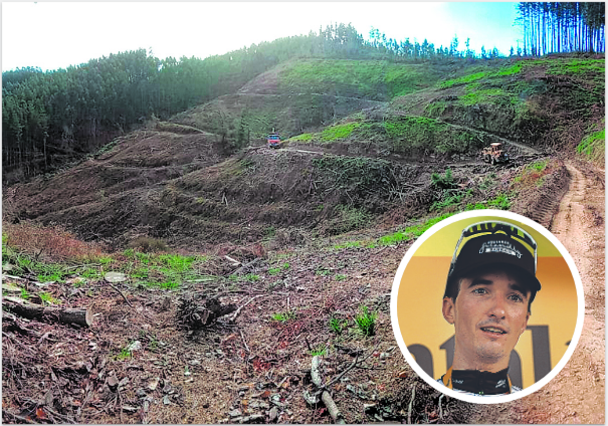 Terrenos de Aldamiz, en Gautegiz Arteaga, que se reforestarán con las ganancias de Bilbao en el Tour.