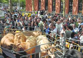 El campo alavés cautiva a los vitorianos