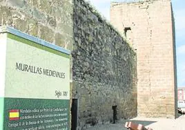 Paño y uno de los torreones de la avenida de Burgos.