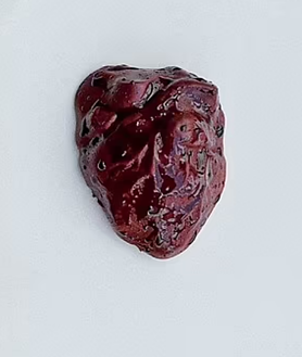 Imagen secundaria 2 - Arriba, vista panorámica del espectacular restaurante; en el centro, las vistas desde el interior, y por último, un tartar de reno, uno de los 18 platos incluidos en el menú.