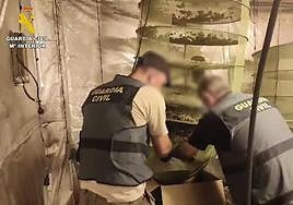 Desmantelan un centro de producción de marihuana en Laukiz con un nuevo método de ocultación de calor