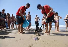 Socorristas de BPXport recogen en la playa de la Zurriola un ejemplar de una 'carabela portuguesa' este jueves.