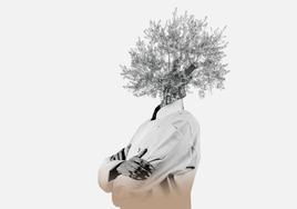 El despertar de Sicilia y la cocinera de Maiori (I)