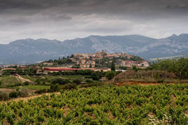 Vistas de Laguardia desde un viñedo de Rioja Alavesa.