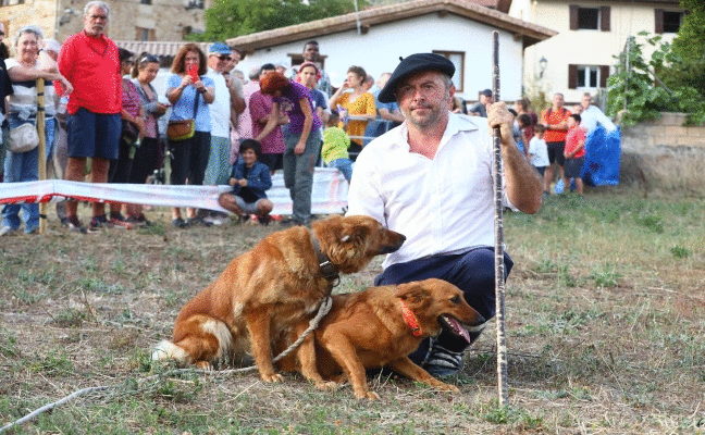 Lis reina en el día grande de Araia