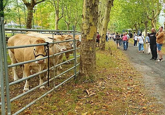 El entorno de la ermita de San Roque ha acogido la exposición, que ha tenido una gran afluencia de público.
