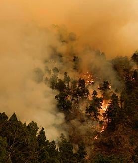 Imagen secundaria 2 - Incendio descontrolado en Tenerife: 1.800 hectáreas arrasadas y decenas de evacuados