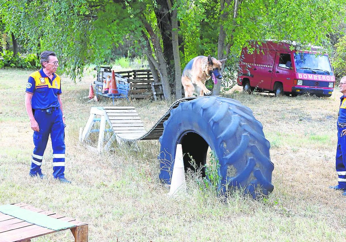 En el campo de entrenamiento se pulen las destrezas y habilidades de animales como Toya.