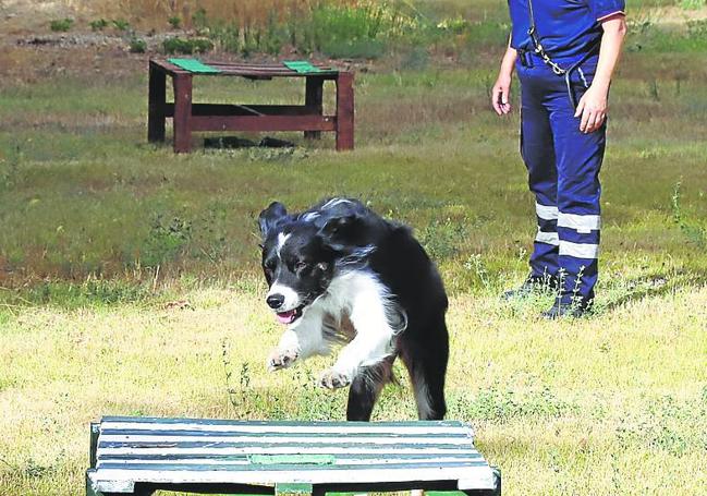 Nana es la más veterana y también participó en la búsqueda.