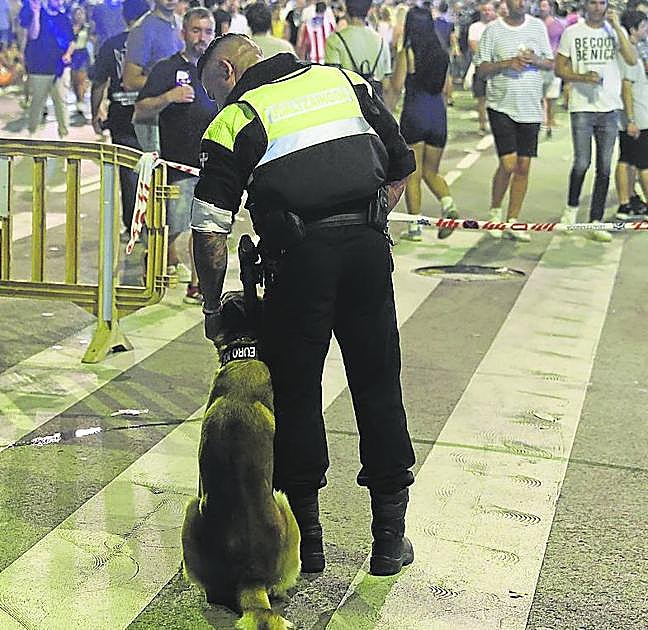 La Policía en la entrada del recinto festivo.