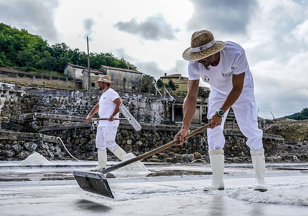 Dos salineros recogen sal en el arranque de la campaña del año anterior en Añana.